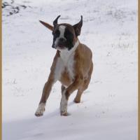 Hispania 1 Mars 2018