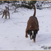 Hispania 1 Mars 2018 