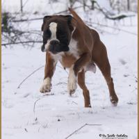 Hispania 1 Mars 2018 