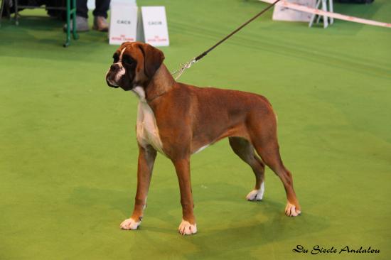  Championnat de France Janvier 2009