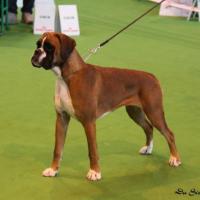  Championnat de France Janvier 2009