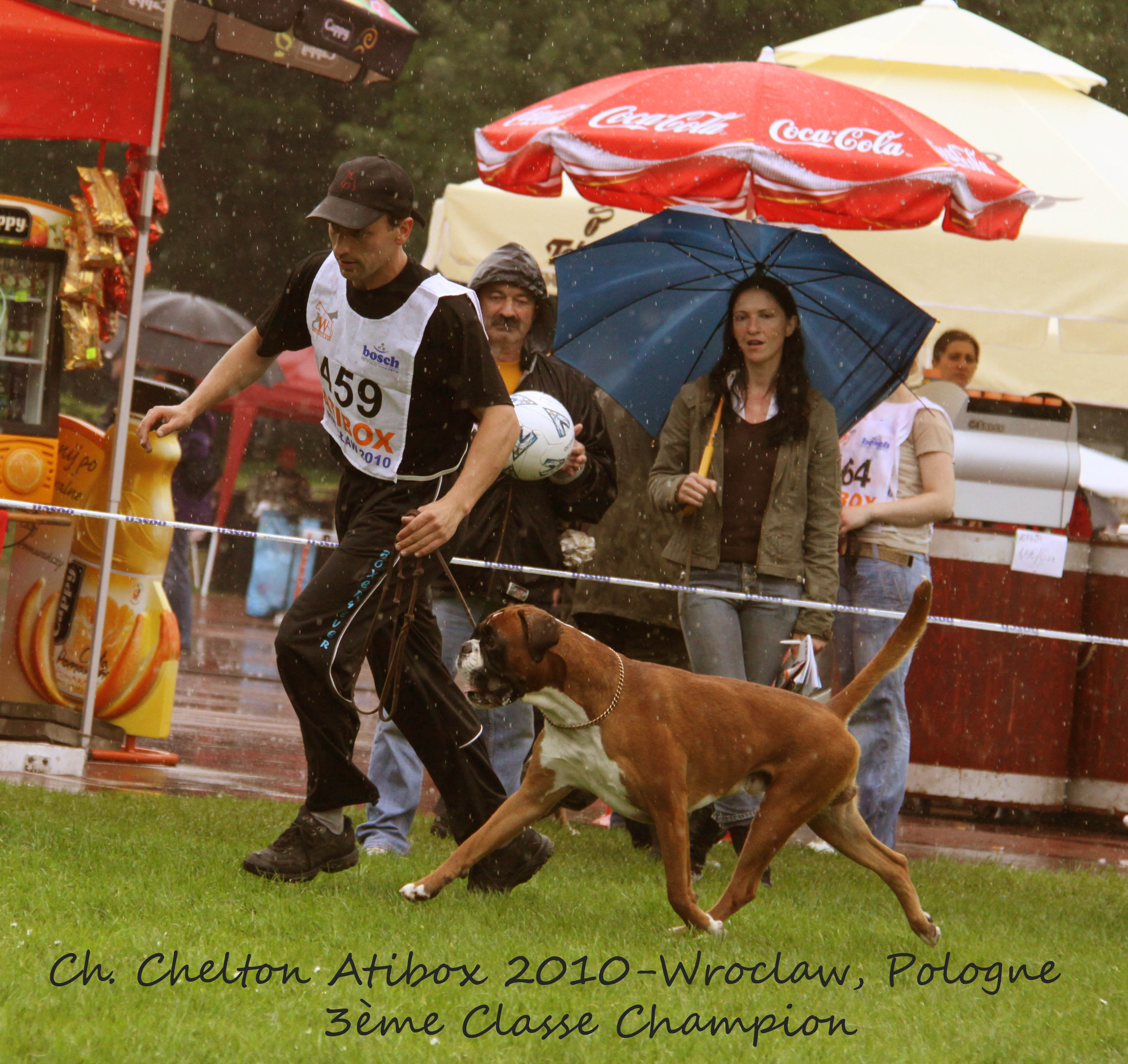 Chelton Atibox 2010 Pologne