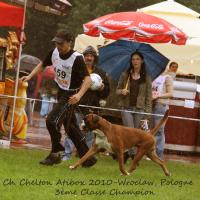 Chelton Atibox 2010 Pologne
