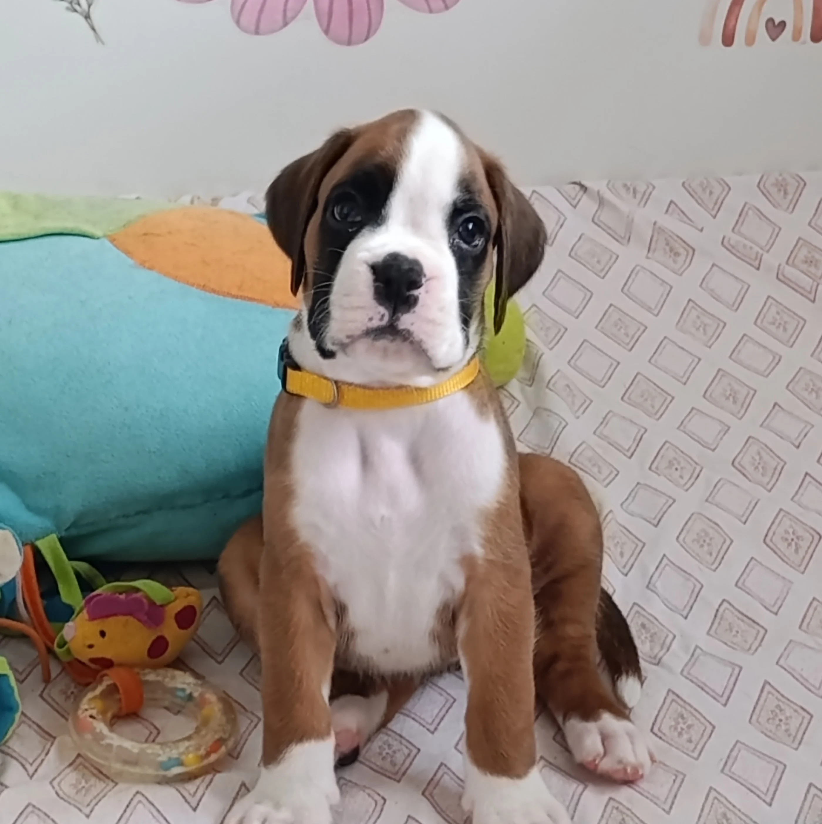 Blue, 39 jours