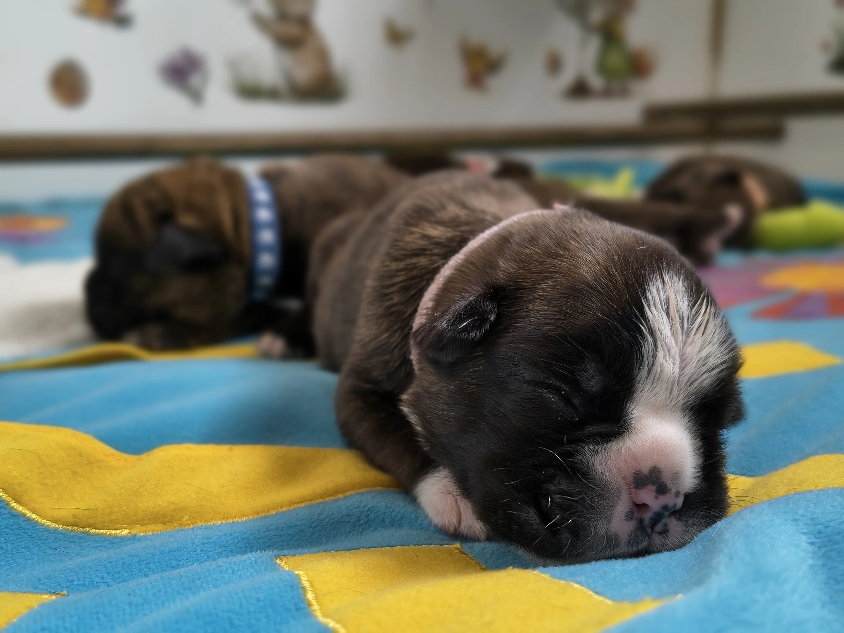 Bébés, 9 jours