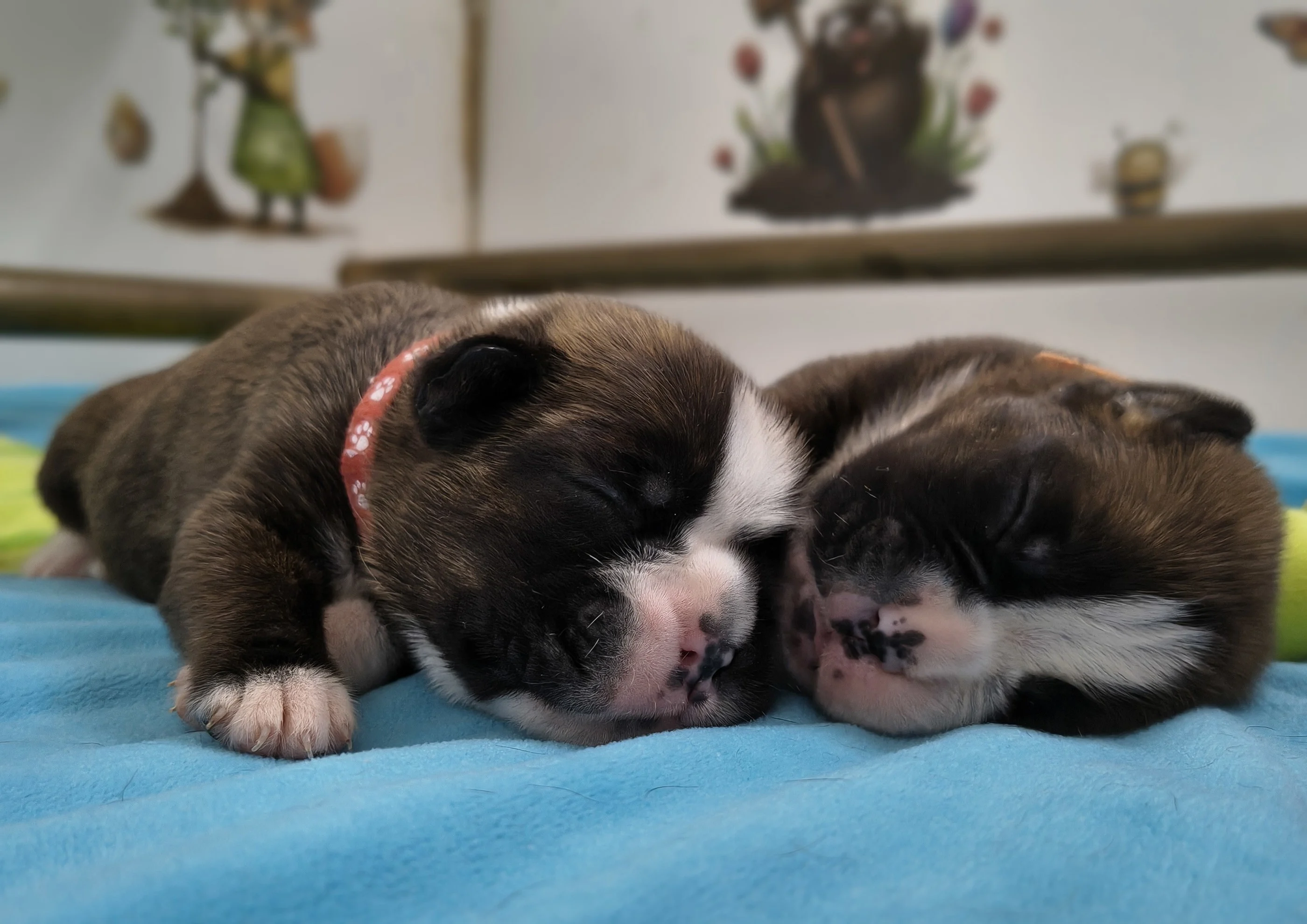 Bébés, 9 jours