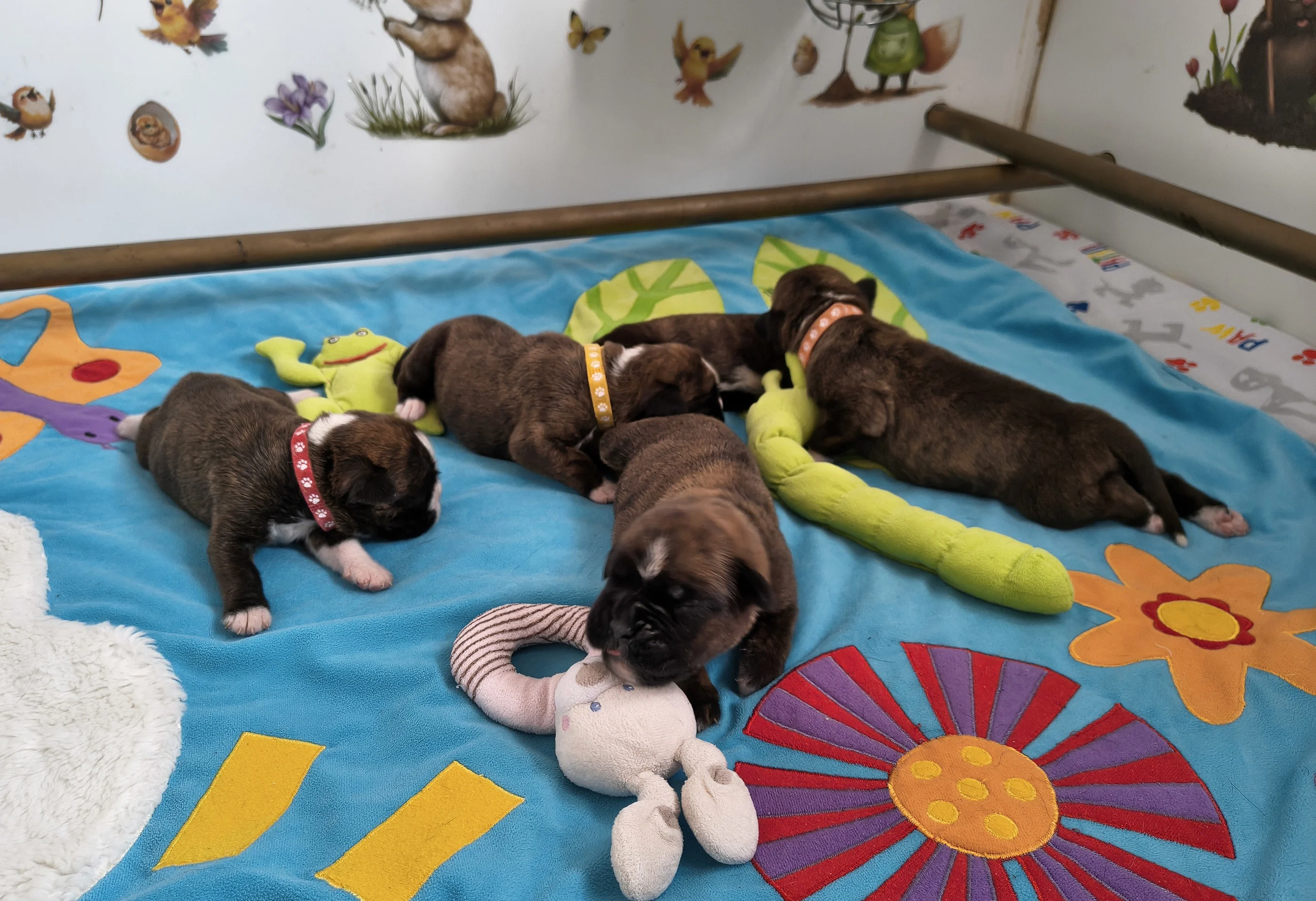 Bébés, 9 jours