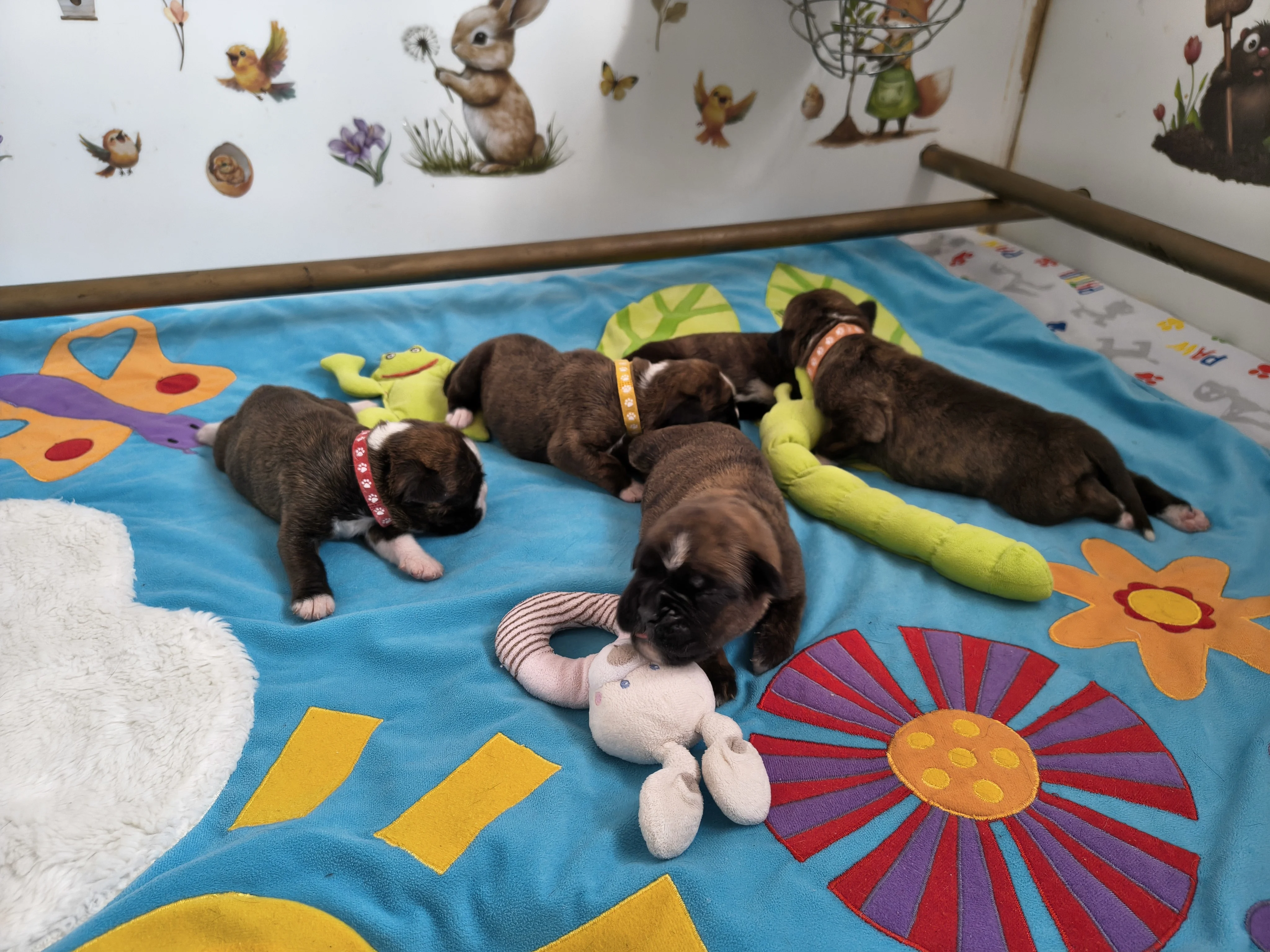 Bébés, 9 jours