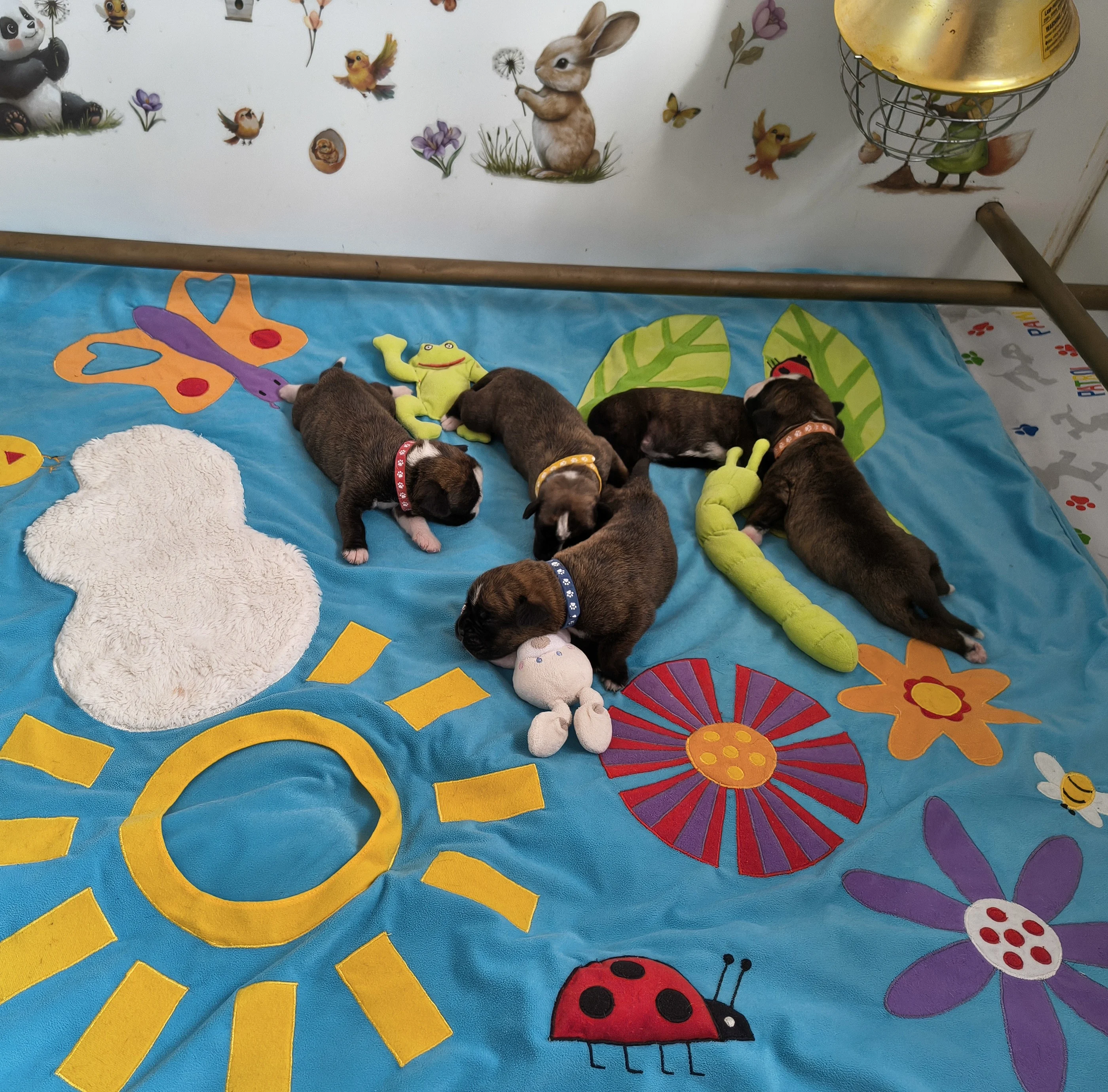 Bébés, 9 jours
