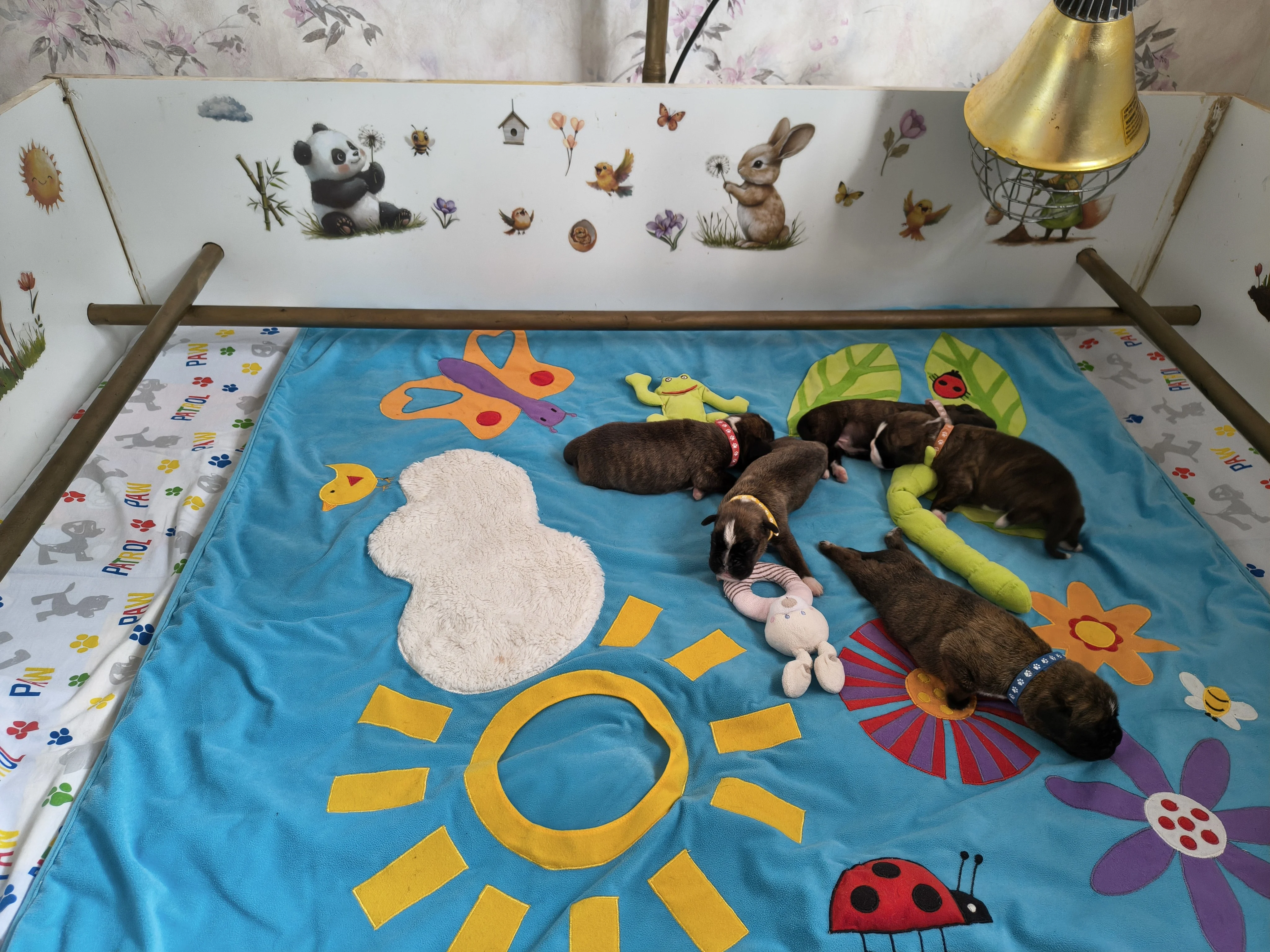 Bébés, 9 jours