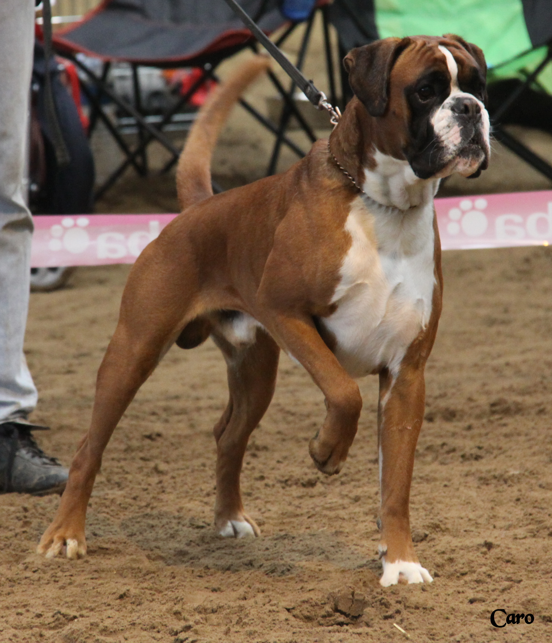 Chelton Fontaine Le Sec 2010