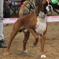 Chelton Fontaine Le Sec 2010