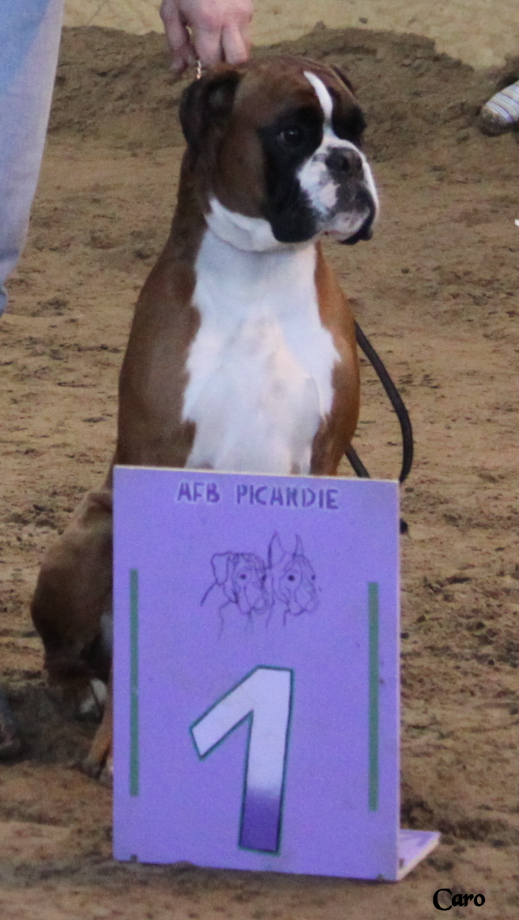 Chelton Fontaine Le Sec 2010