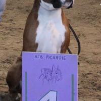 Chelton Fontaine Le Sec 2010