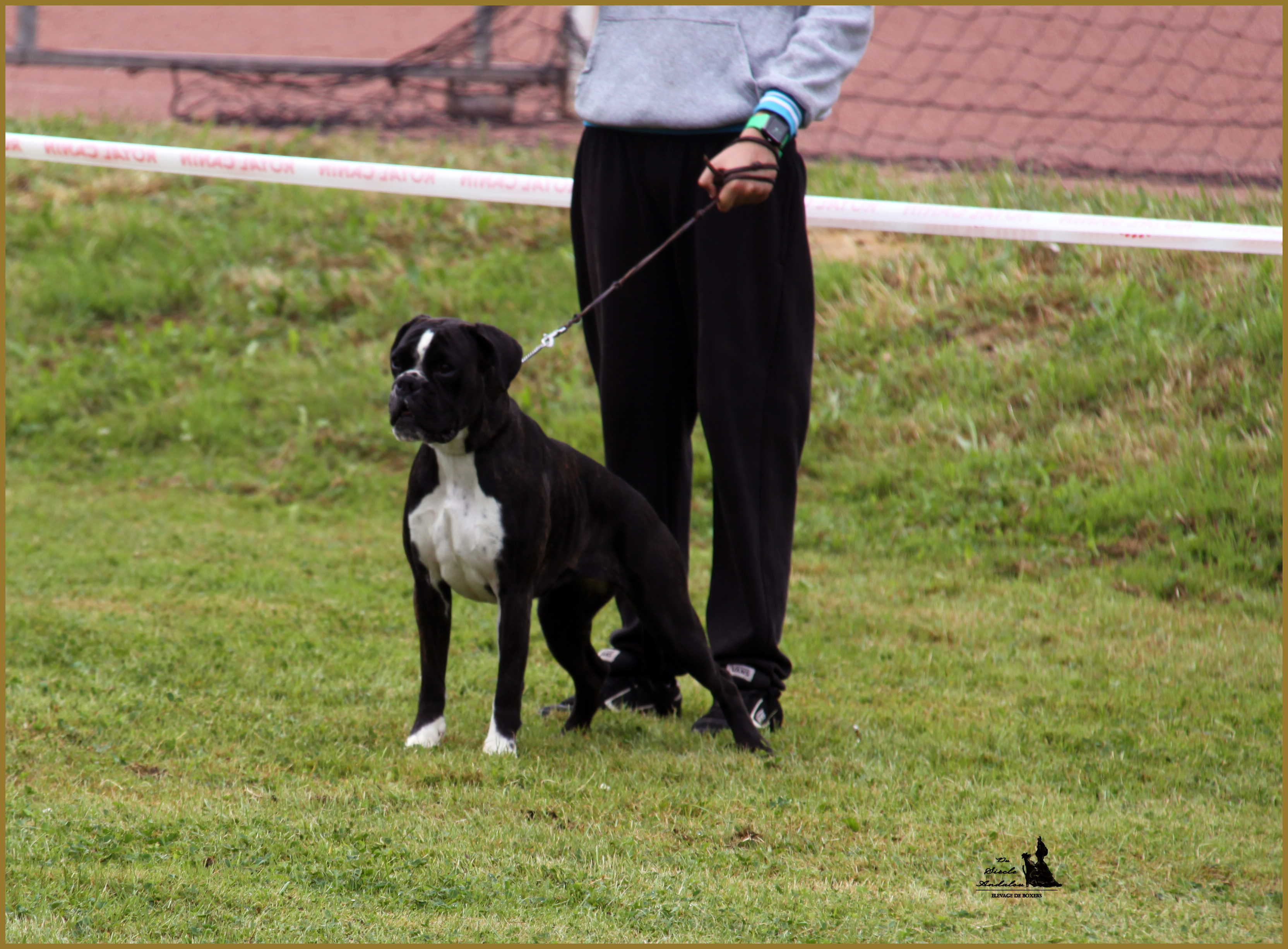 Inessa Nationale 28.06.14