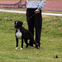 Inessa Nationale 28.06.14