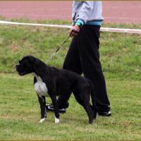 Inessa Nationale 28.06.14