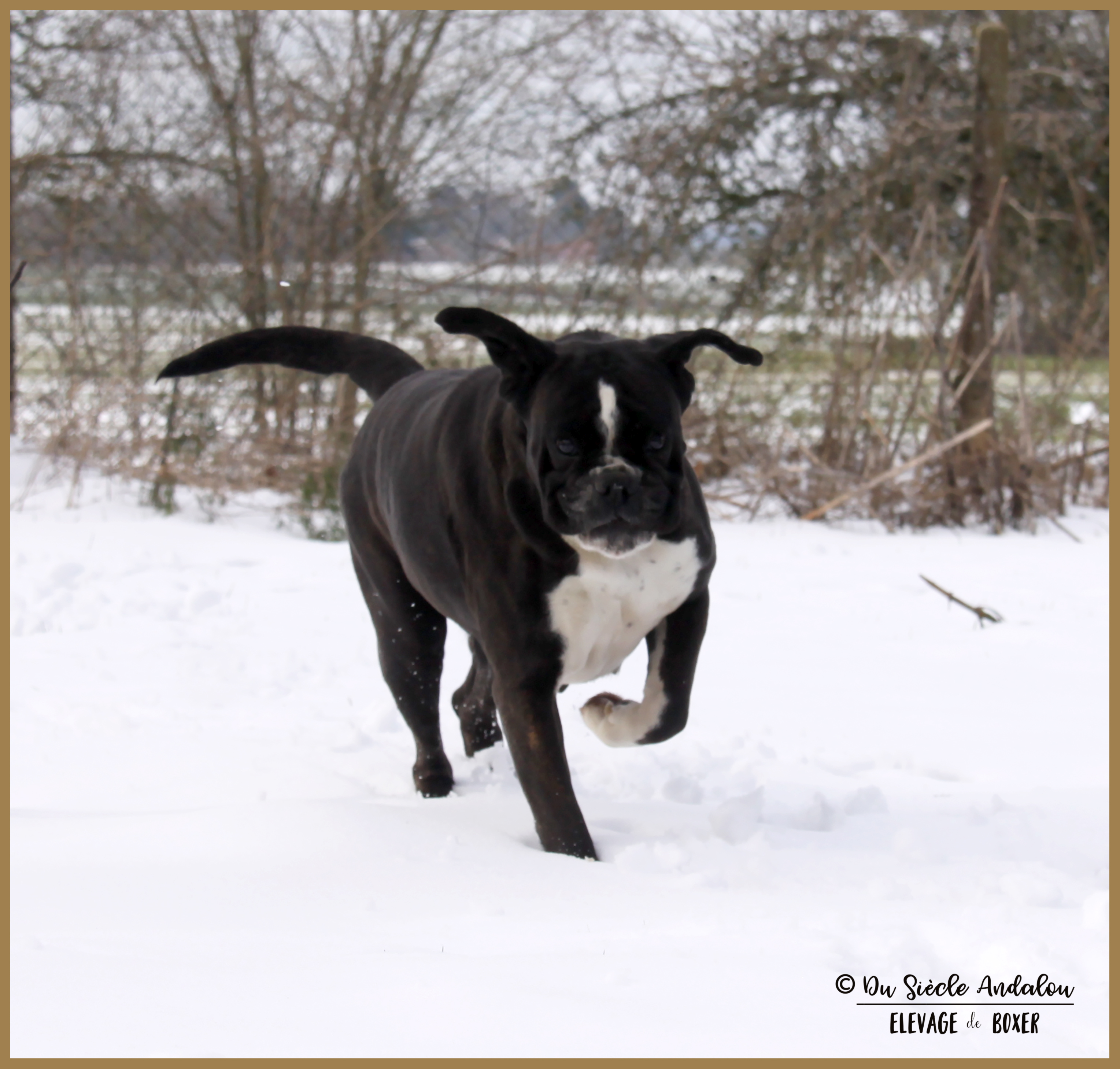 Inessa Neige 01.03.18 