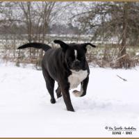 Inessa Neige 01.03.18 