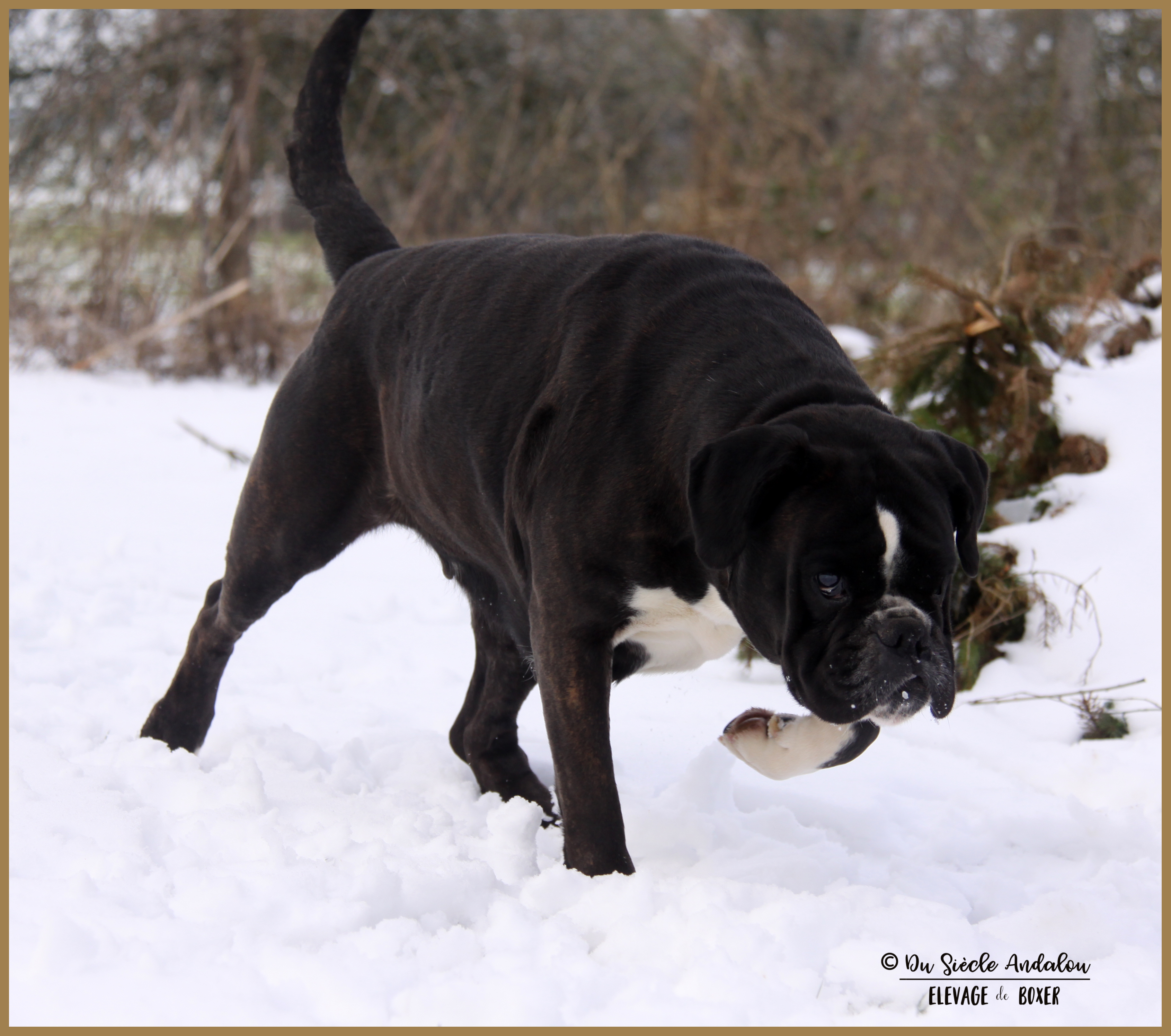 Inessa Neige 01.03.18 