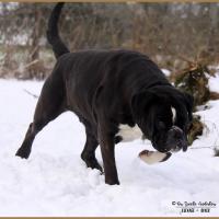 Inessa Neige 01.03.18 