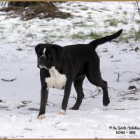 Inessa Neige 01.03.18