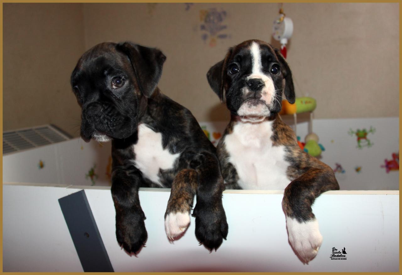 Jaïa & Juka 15.11.14