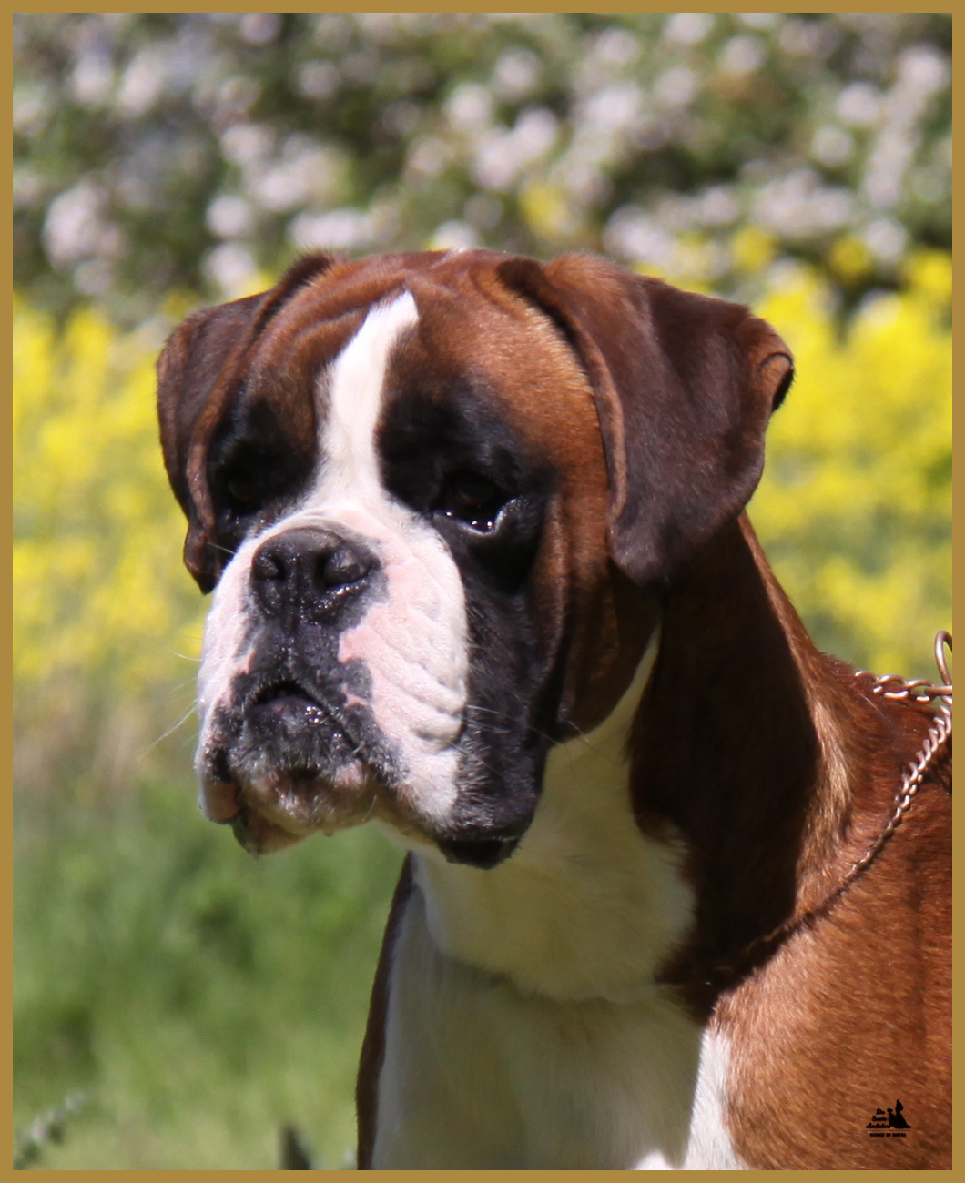 Jerez 05.05.16, 25 mois