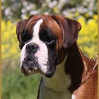 Jerez 05.05.16, 25 mois