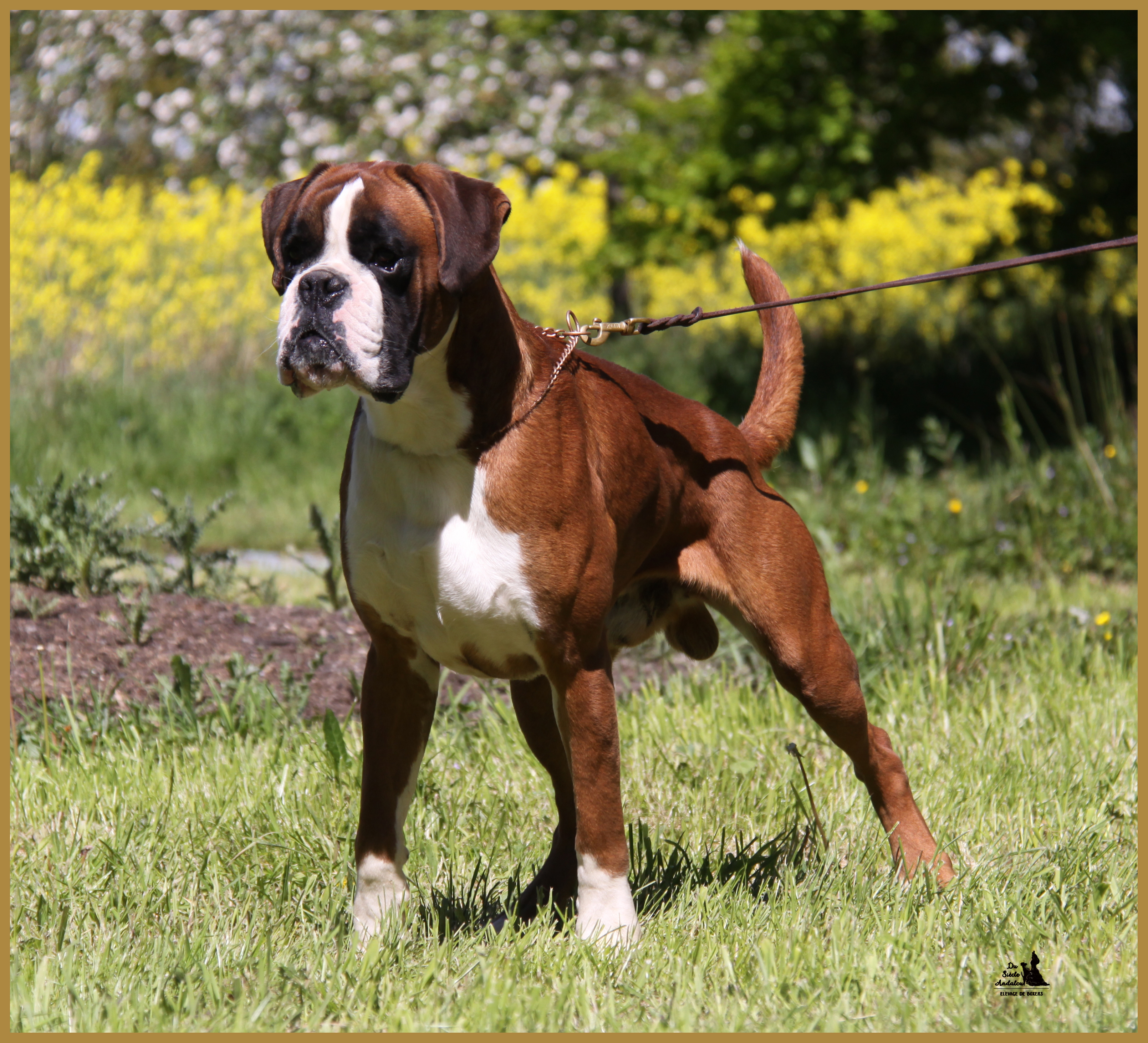 Jerez 05.05.16, 25 mois