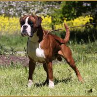 Jerez 05.05.16, 25 mois