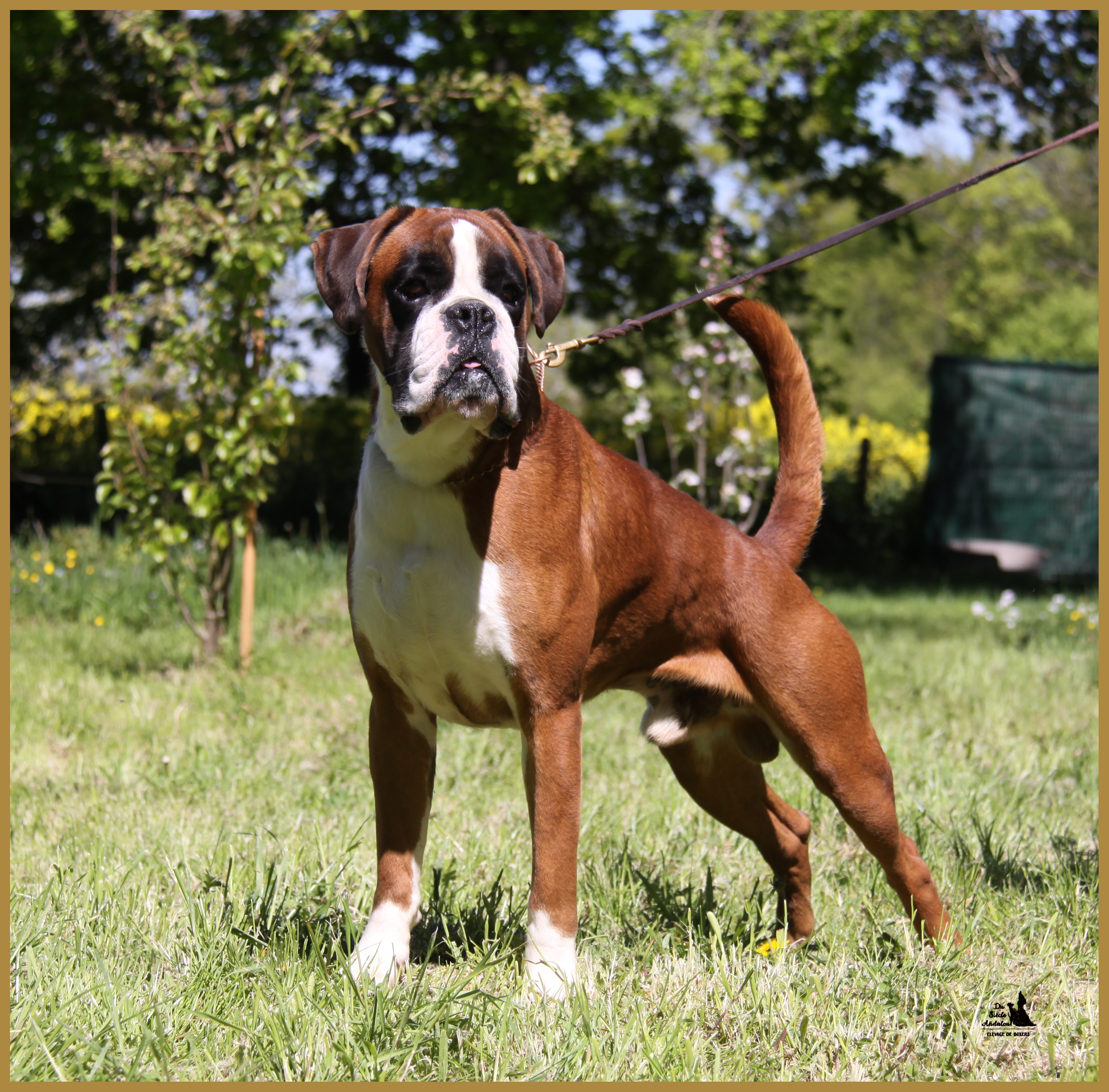 Jerez 05.05.16, 25 mois