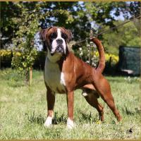 Jerez 05.05.16, 25 mois