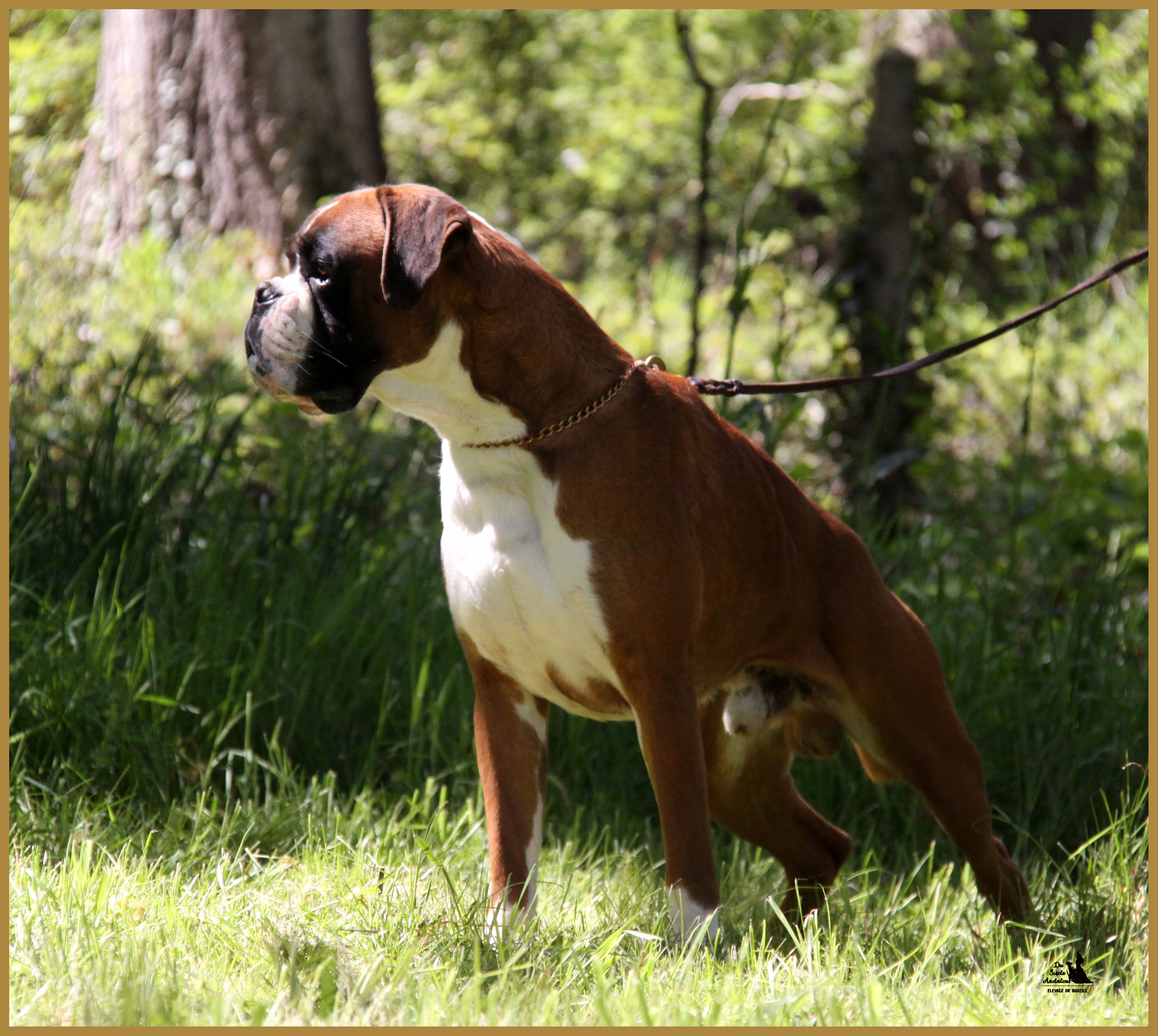 Jerez 05.05.16, 25 mois