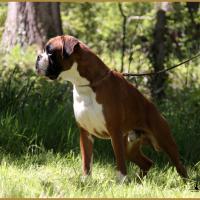 Jerez 05.05.16, 25 mois