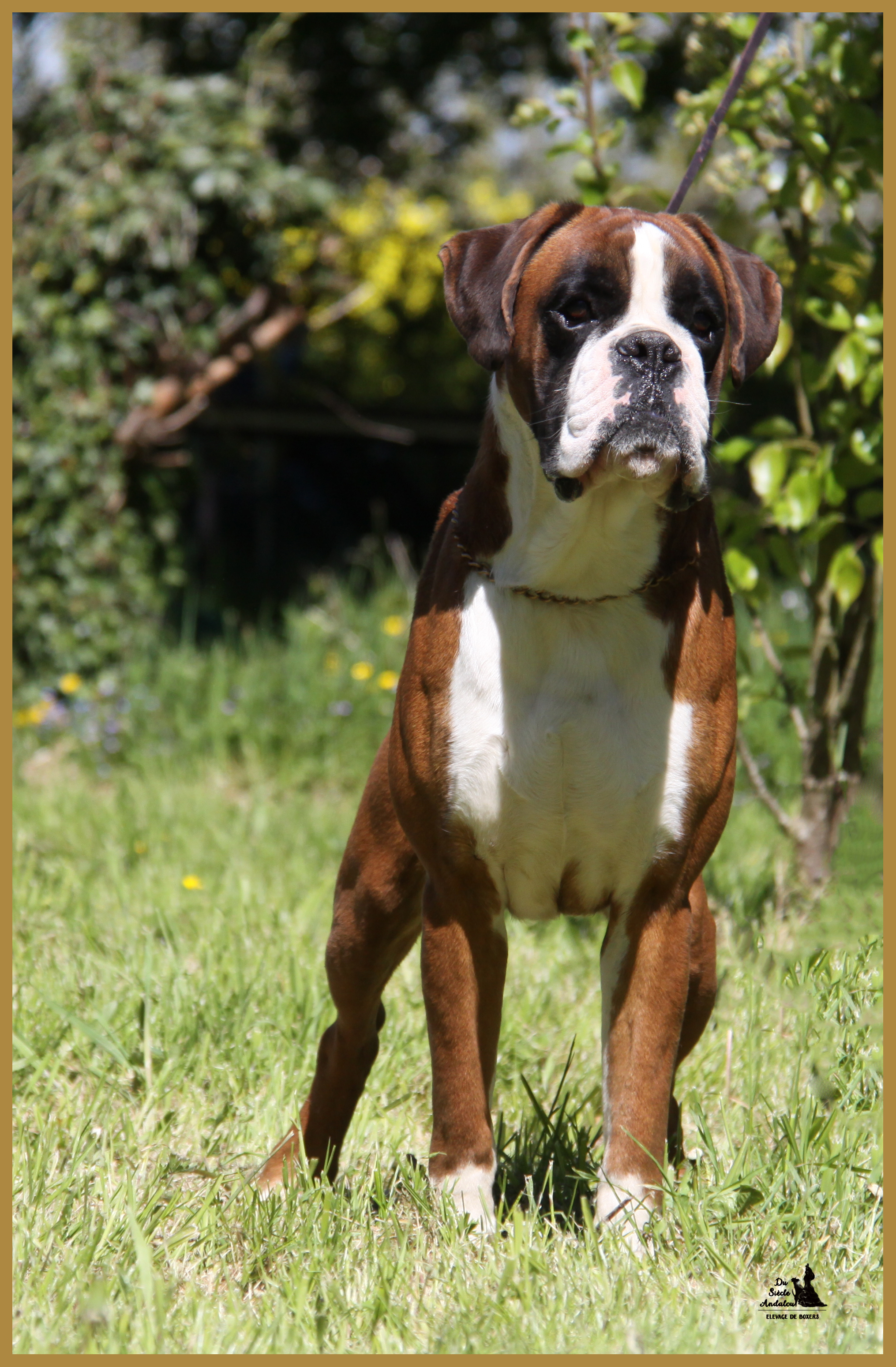 Jerez 05.05.16, 25 mois