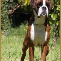 Jerez 05.05.16, 25 mois