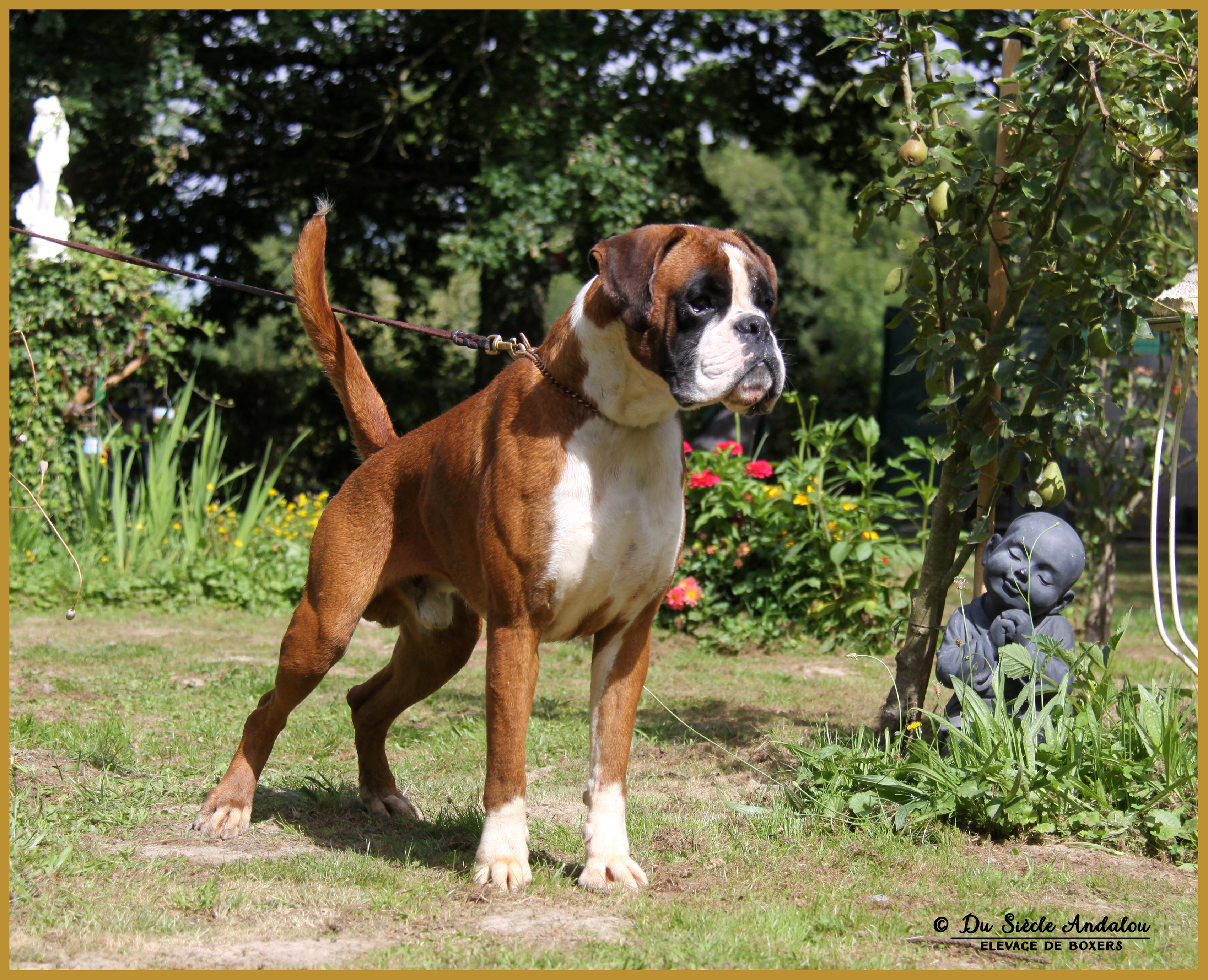 Jerez 12.08.16  2-0056