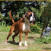 Jerez 12.08.16  2-0056