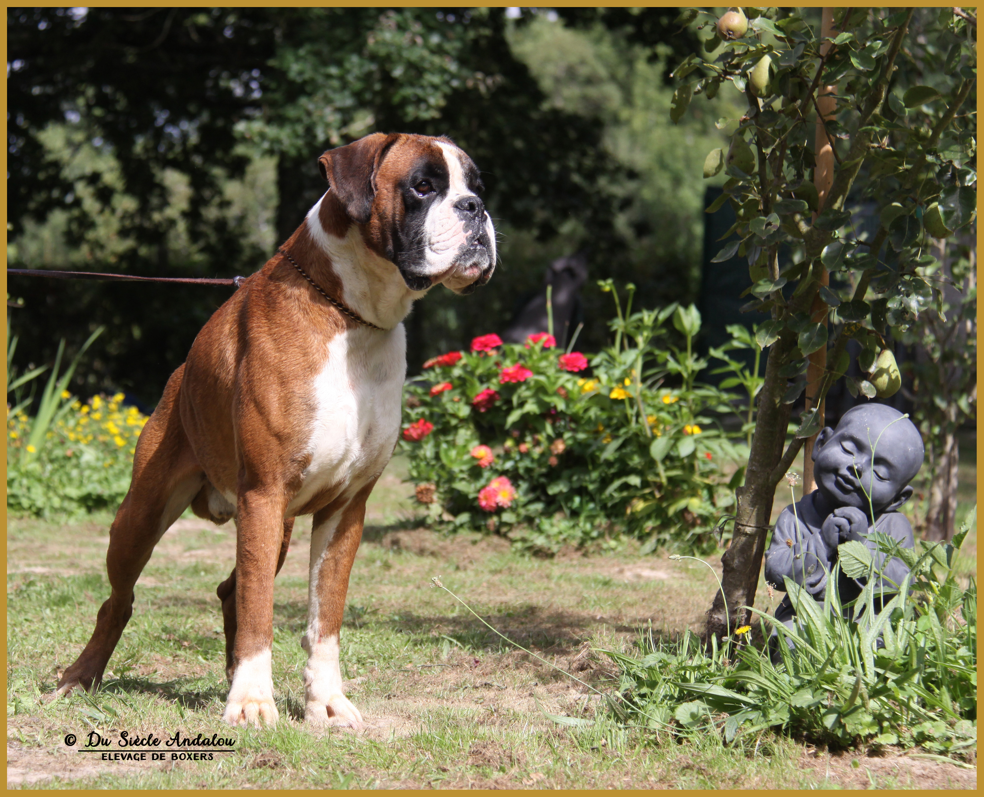 Jerez 12.08.16 5-9984