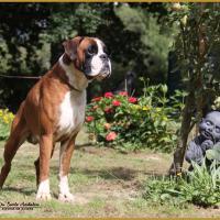 Jerez 12.08.16 5-9984