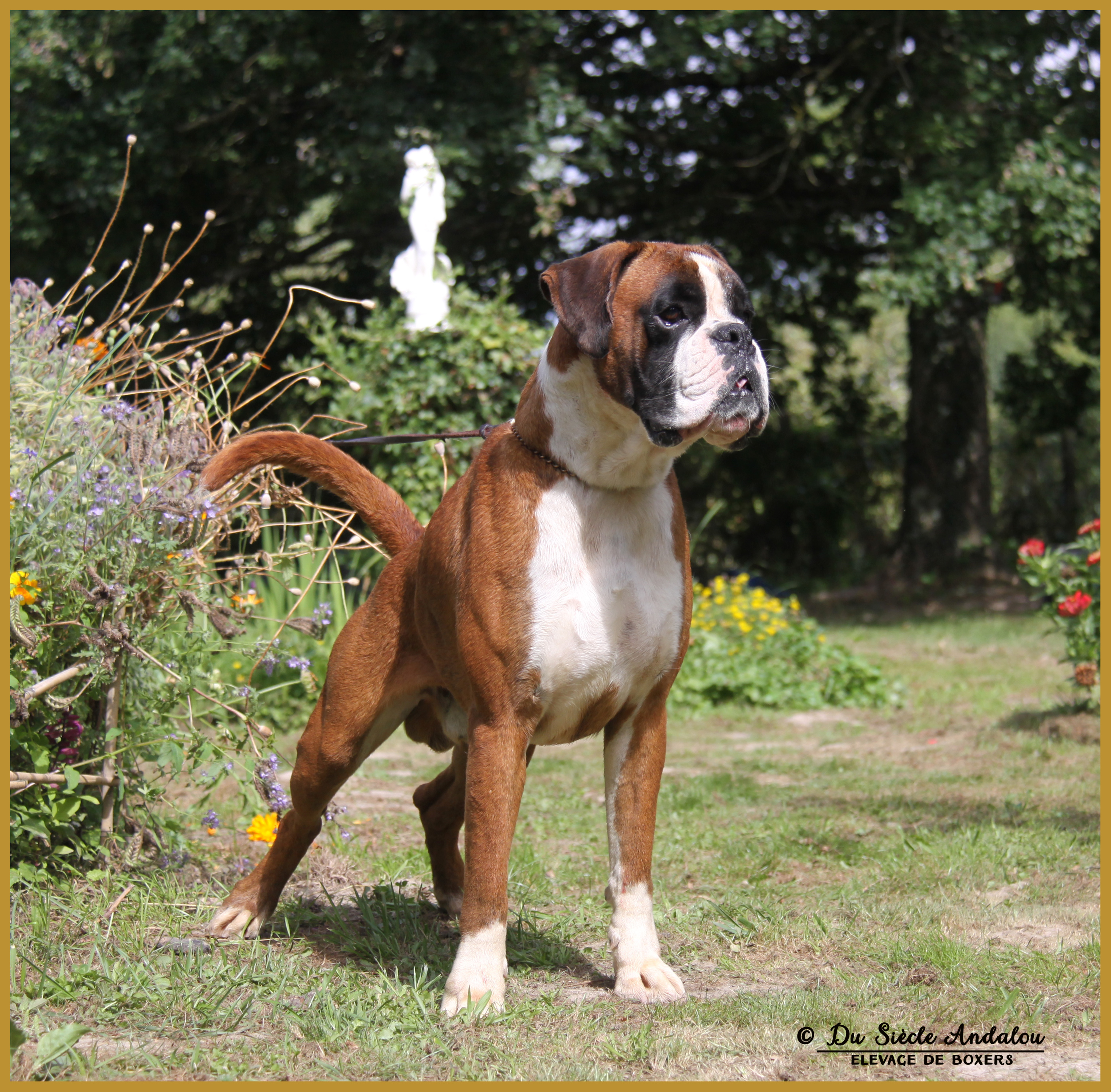 Jerez 12.08.16 7-0009