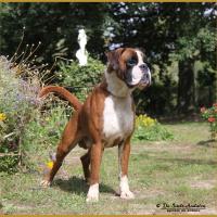 Jerez 12.08.16 7-0009