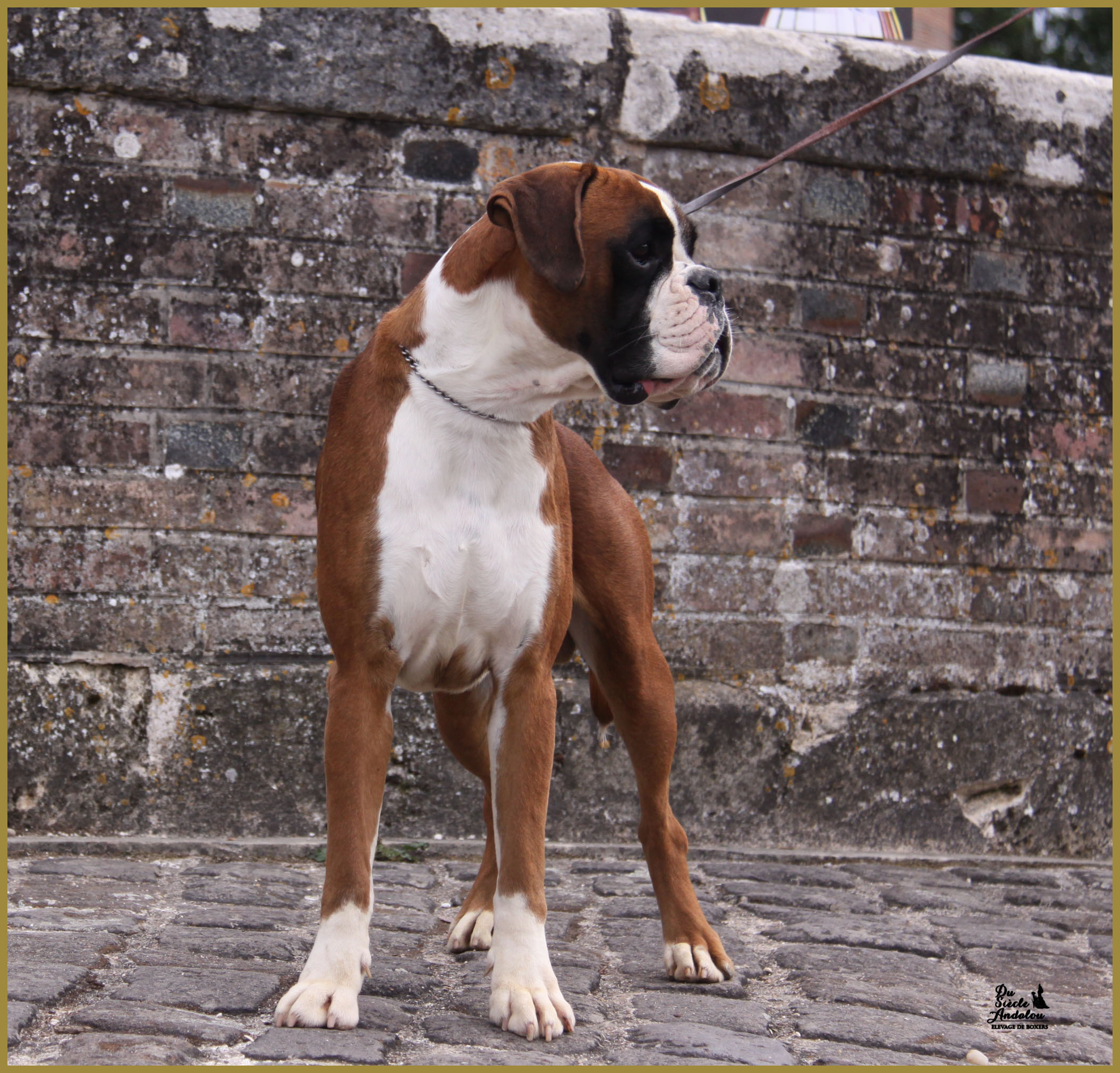 Jerez 17.08.15, 16 mois