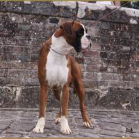 Jerez 17.08.15, 16 mois