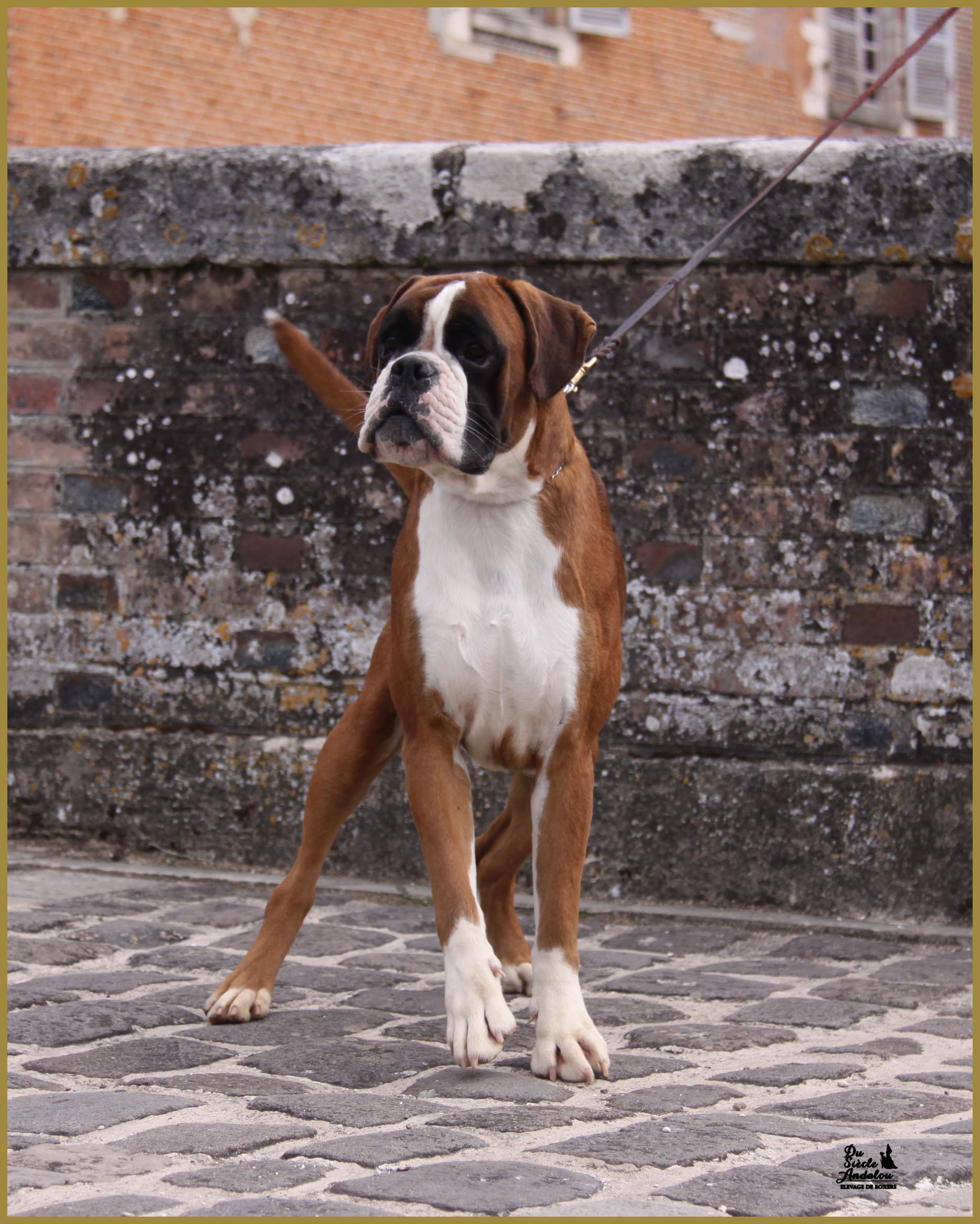 Jerez 17.08.15, 16 mois