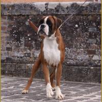 Jerez 17.08.15, 16 mois