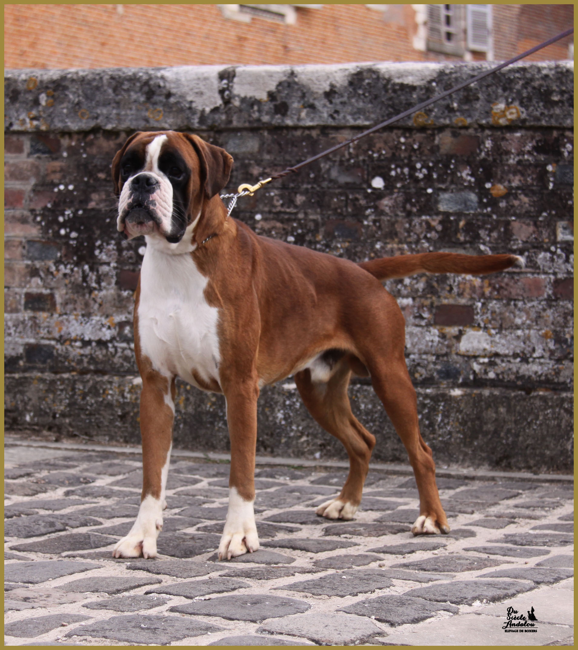 Jerez 17.08.15, 16 mois