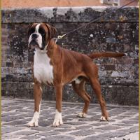 Jerez 17.08.15, 16 mois