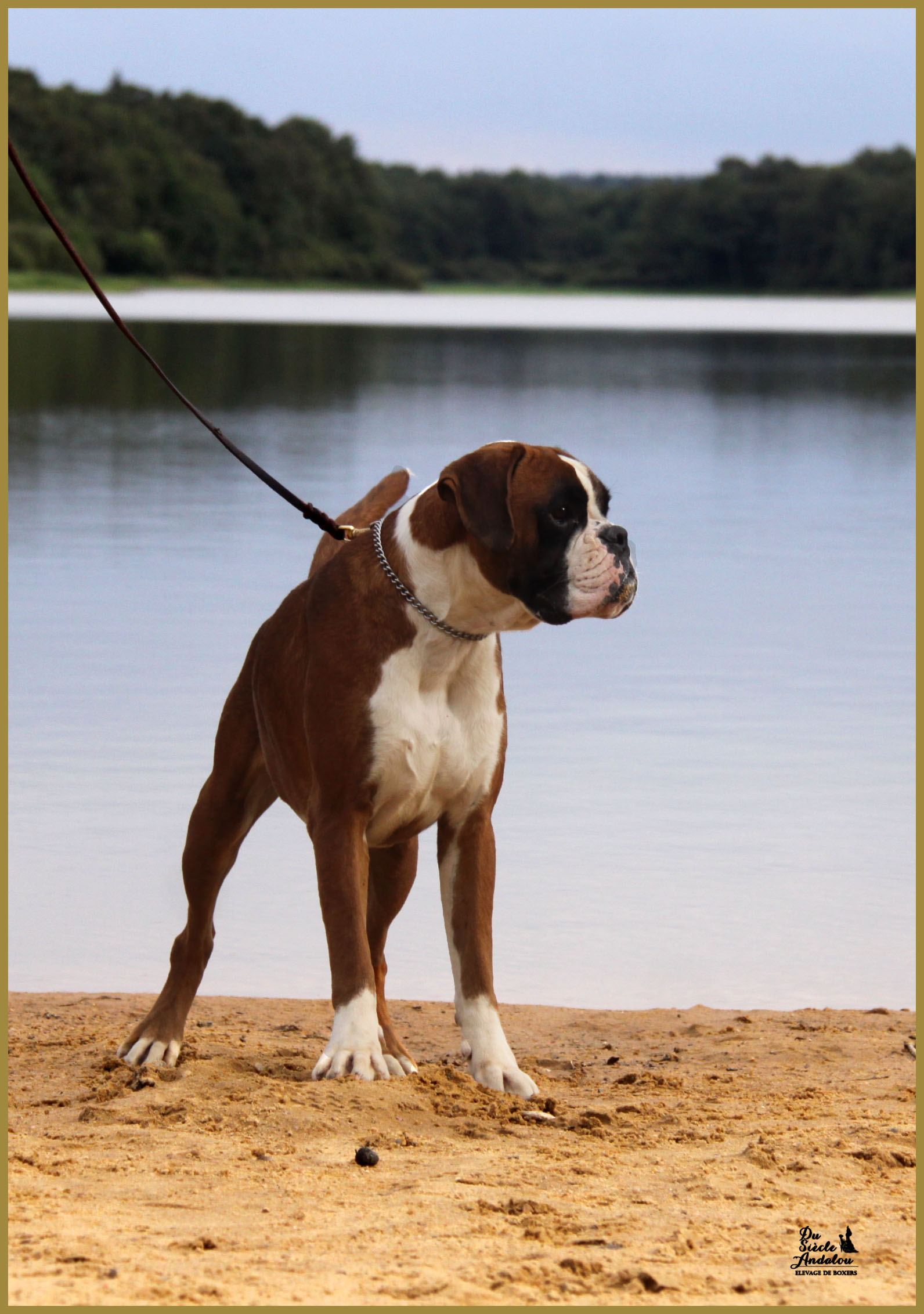 Jerez 17.08.15, 16 mois